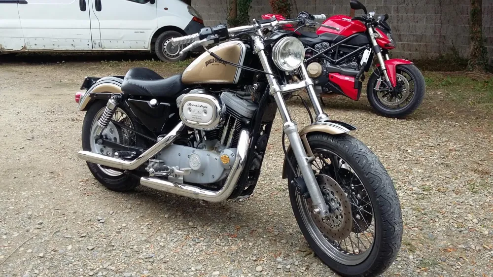 peintures sur moto-funbike32 -8
