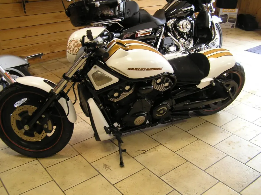 peintures sur moto-funbike32 -88