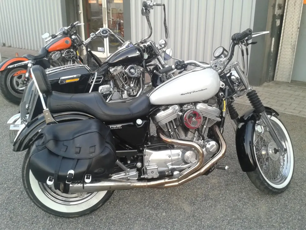 peintures sur moto-funbike32 -64