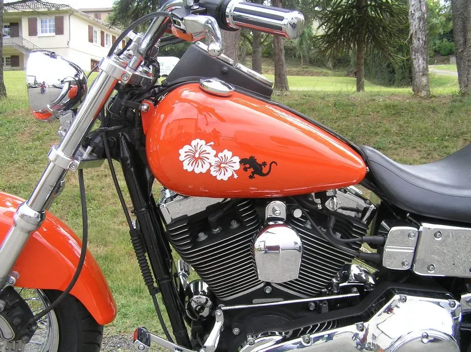 peintures sur moto-funbike32 -31